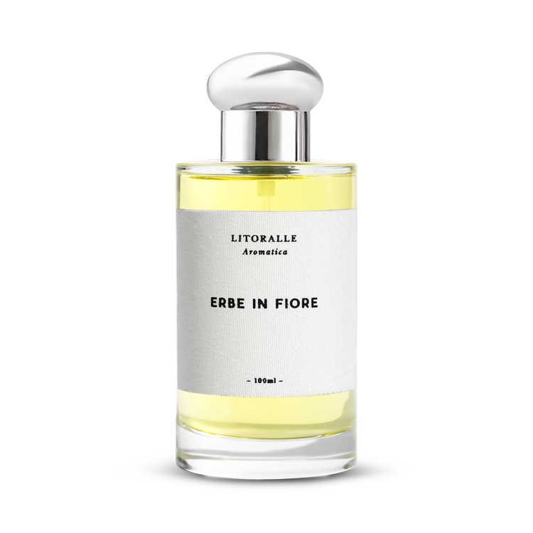 SHOP — LITORALLE AROMATICA